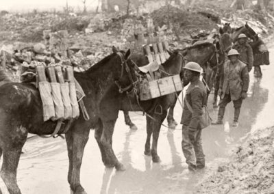 Horses carrying artillery shells, First World War