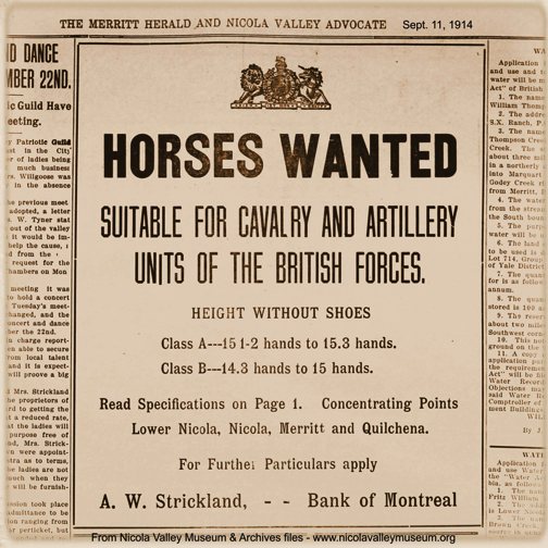 Horses Wanted advertisement, 1914