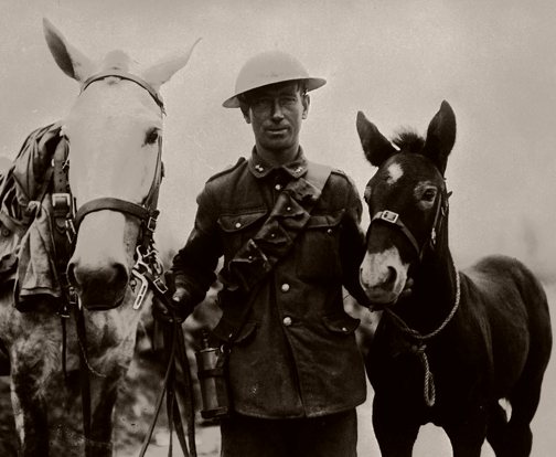 Soldier with a horse and a donkey