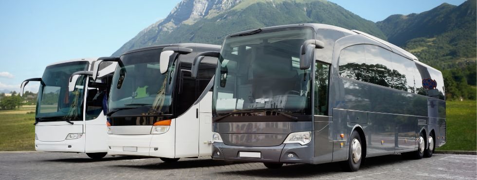 Tour buses
